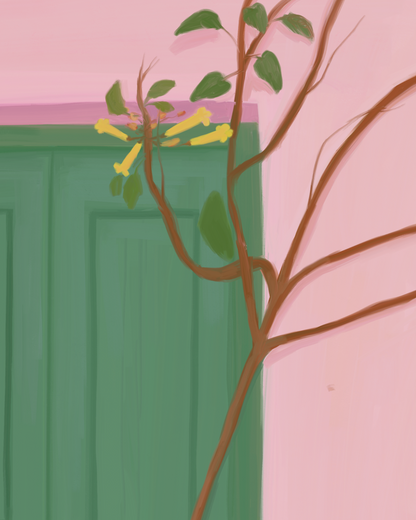 The Window I Passed By