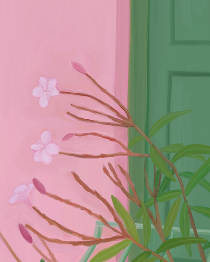 The Window I Passed By