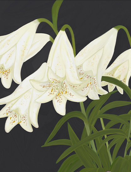Moon-Kissed Lilies