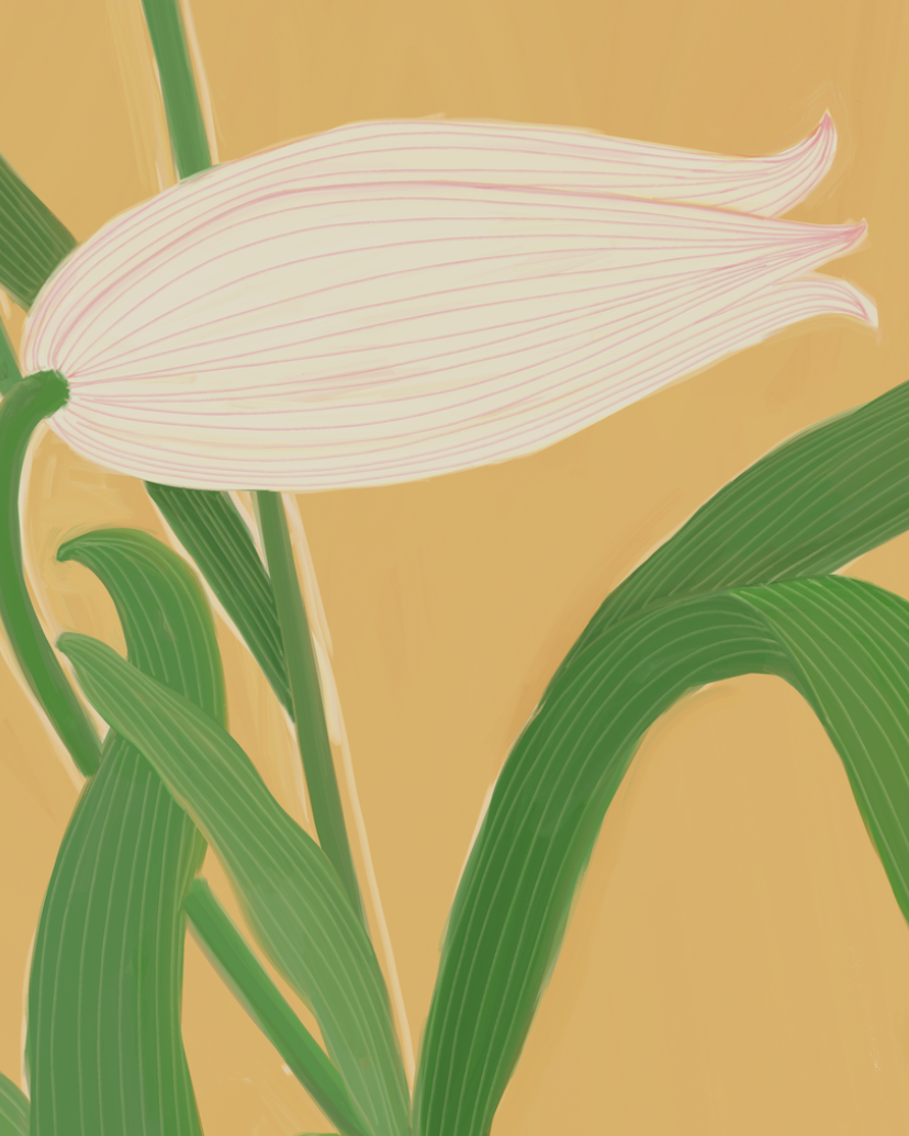 Still Becoming Artprint